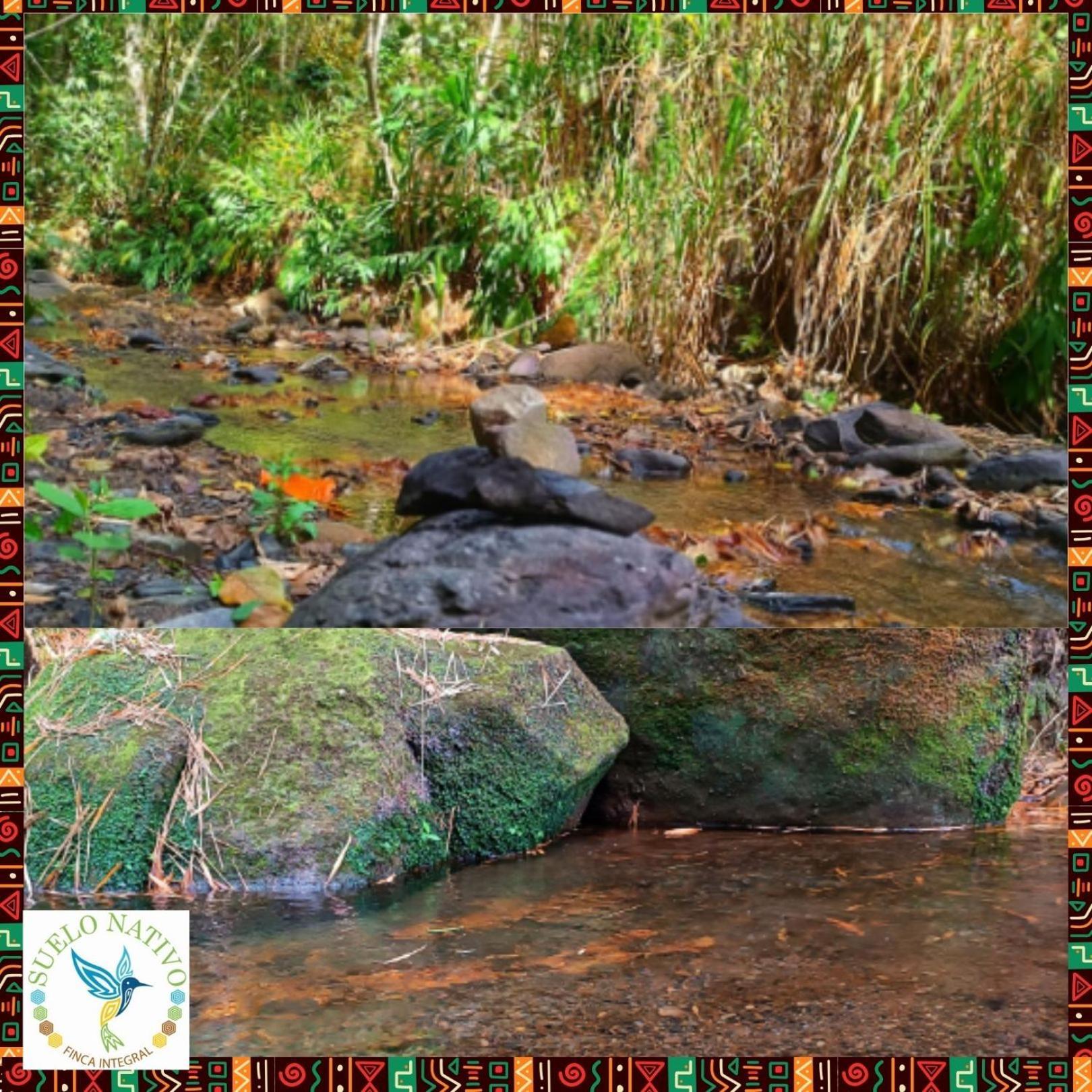 Hotel Finca Integral Suelo Natiivo "Integramos El Campo Con Tu Bienestar" Guaduas Buitenkant foto