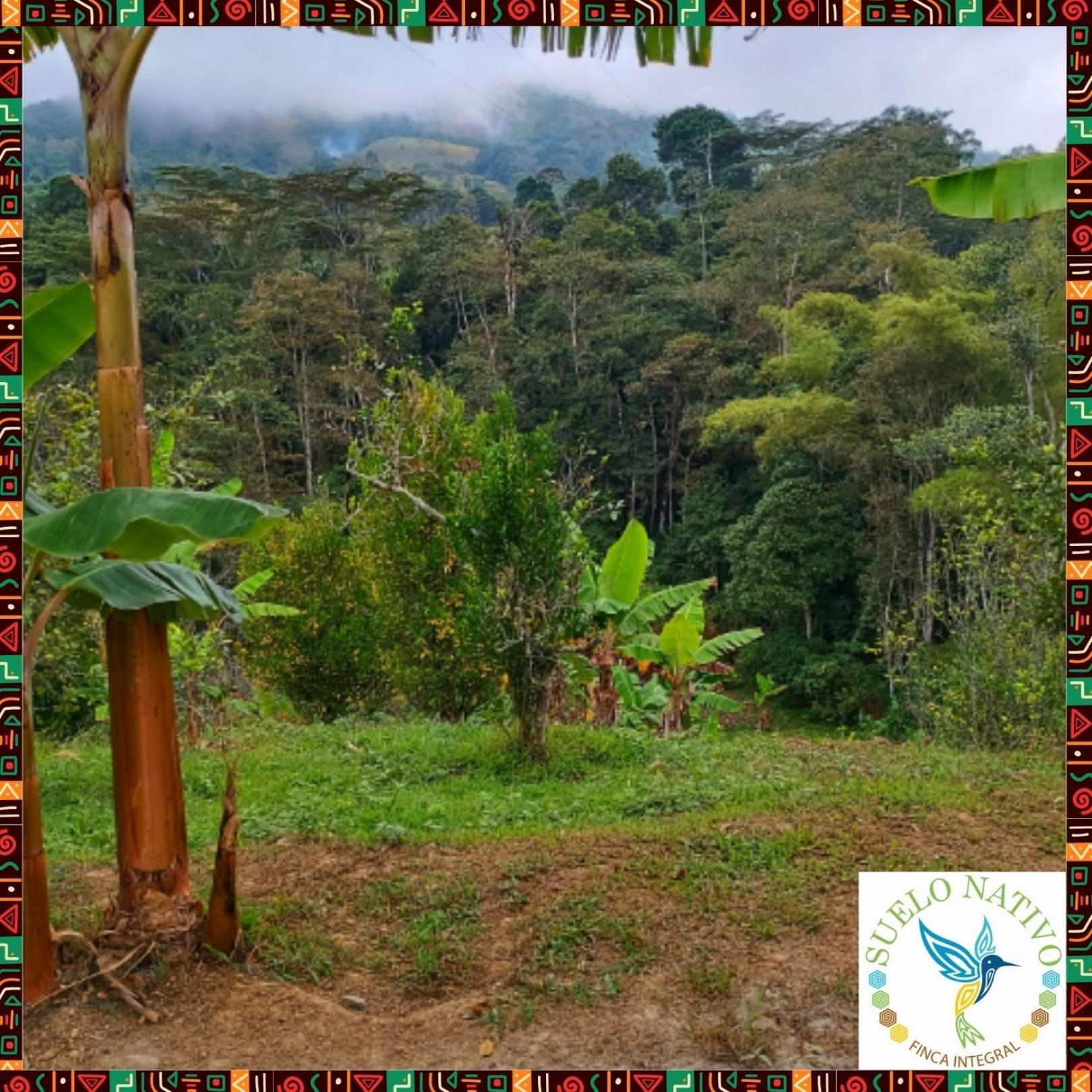 Hotel Finca Integral Suelo Natiivo "Integramos El Campo Con Tu Bienestar" Guaduas Buitenkant foto