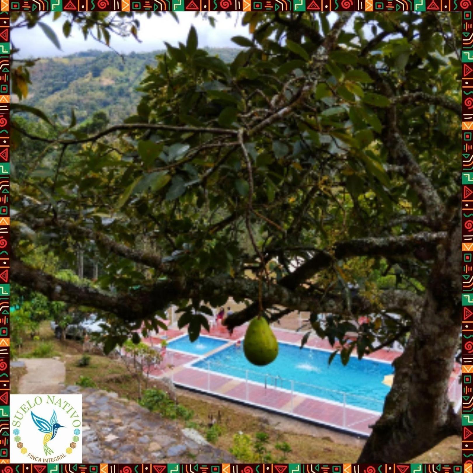 Hotel Finca Integral Suelo Natiivo "Integramos El Campo Con Tu Bienestar" Guaduas Buitenkant foto