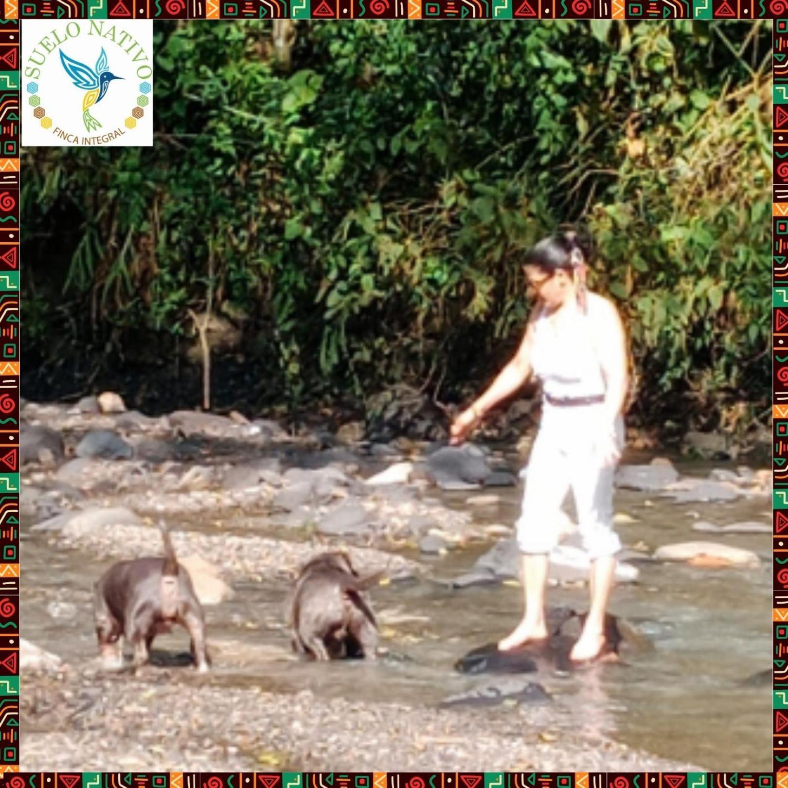 Hotel Finca Integral Suelo Natiivo "Integramos El Campo Con Tu Bienestar" Guaduas Buitenkant foto