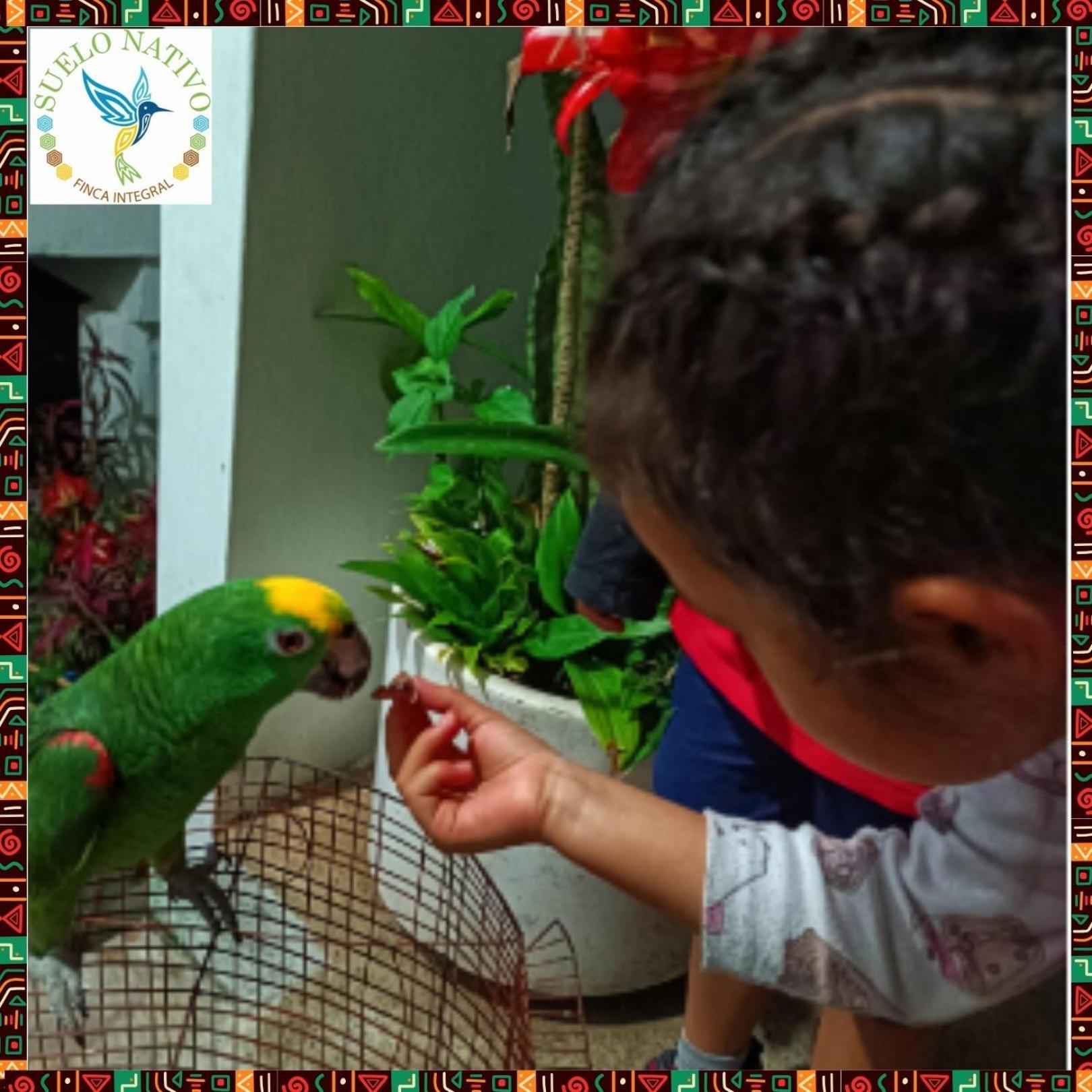 Hotel Finca Integral Suelo Natiivo "Integramos El Campo Con Tu Bienestar" Guaduas Buitenkant foto