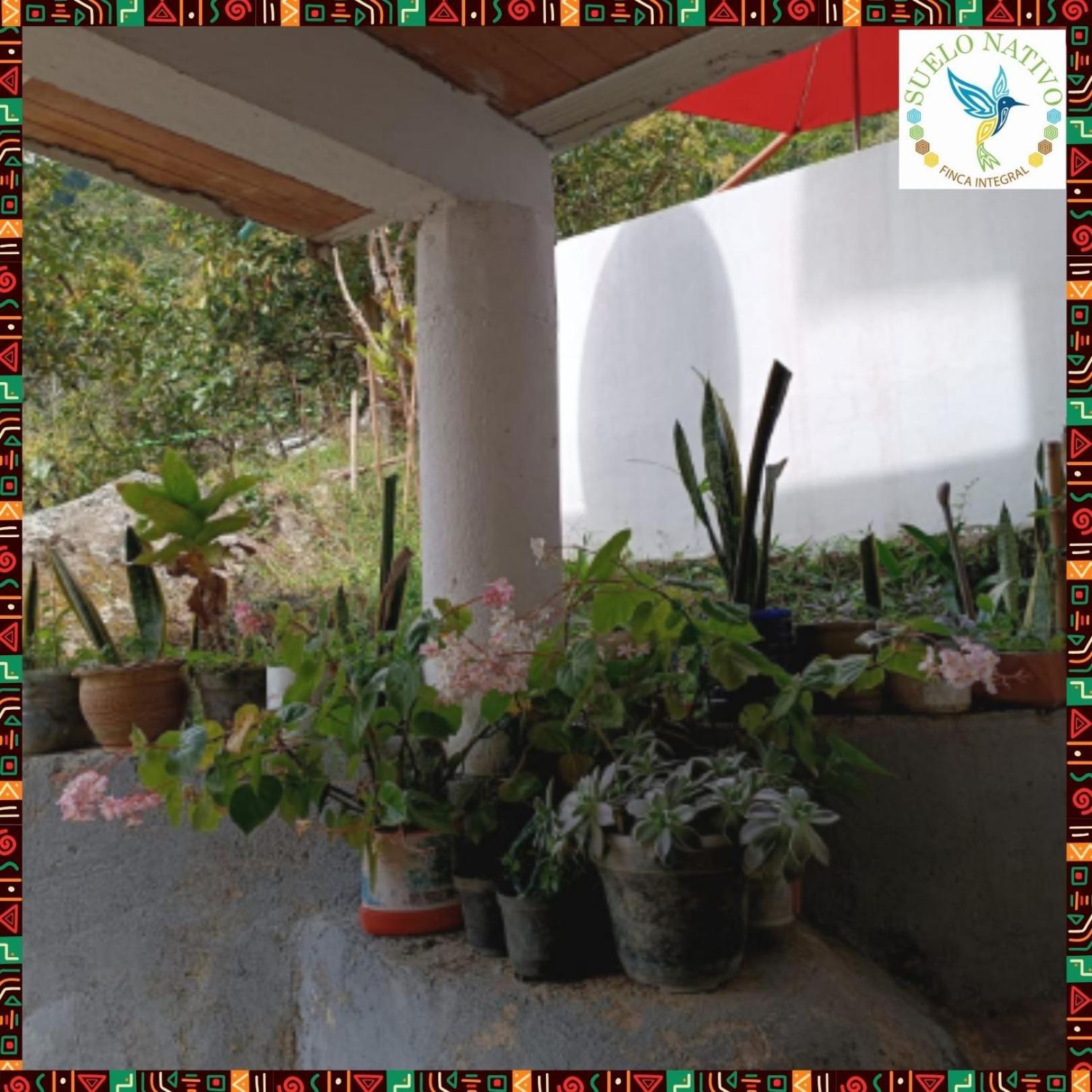 Hotel Finca Integral Suelo Natiivo "Integramos El Campo Con Tu Bienestar" Guaduas Buitenkant foto